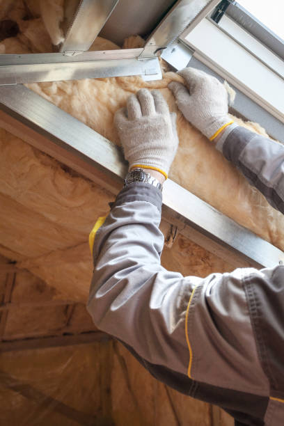 Best Insulation Replacement Services  in Rochester Institute Of Technology, NY